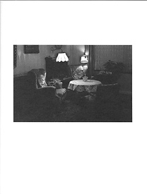 Slide 5