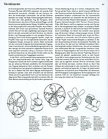 Slide 9